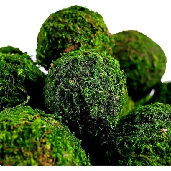 Moss Balls, 18 PCS Decorative Balls for Centerpiece Bowls Natural Dried Balls - Picture 2 of 8